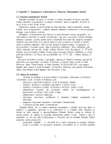 Organizarea gestiunii financiare la o instituție din domeniul adminstratiei publice - Primăria Municipiului Bârlad - Pagina 3
