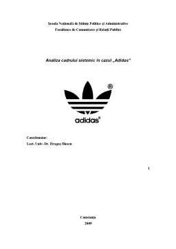 Referat - Analiza Cadrului Sistemic în Cazul Adidas