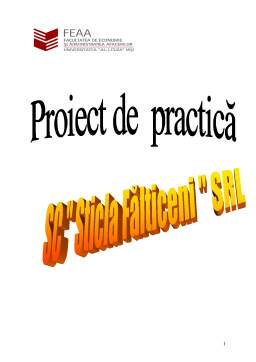 Proiect - Practică contabilitate SC Sticlă Fălticeni SRL