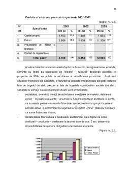 Proiect - Prezentarea generală a SC Serbel Import Export SRL