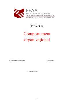 Proiect - Comportament Organizațional