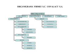 Referat - Analiza strategică a organizației SC Covalact SA