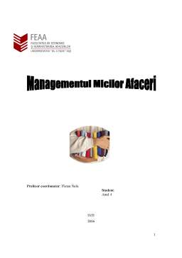 Proiect - Managementul Micilor Afaceri - SC Power Clean SRL