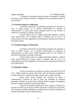 Proiect - Plan de afaceri pentru eficiența investițiilor - SC Petrumi SRL