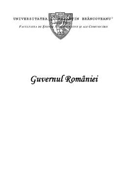 Referat - Guvernul României