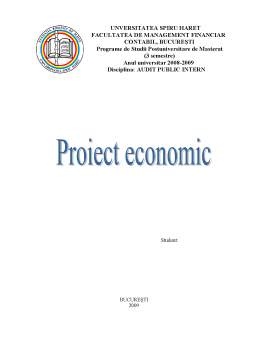 Proiect - Audit Public Intern