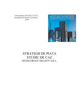 Referat - Strategii de piață - studiu de caz - Nedschroef Brașov SRL