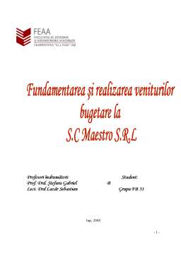 Proiect - Fundamentarea și Realizarea Veniturilor Bugetare la SC Maestro SRL