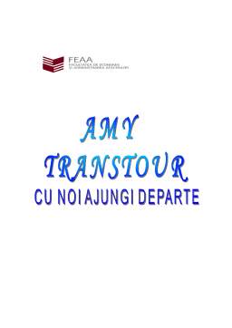 Proiect - Înființarea unei agenții de turism - Amy Transtour
