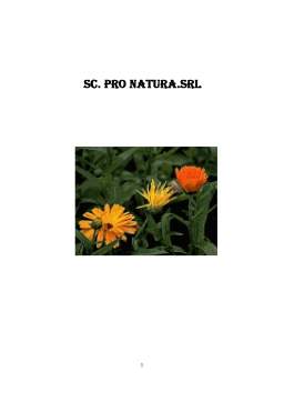 Proiect - Plan de afaceri SC Pro Natura SRL