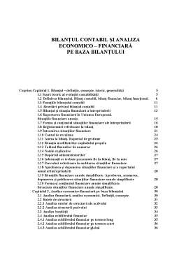 Proiect - Analiza Economica pe Baza Bilantului - SC Confort SA Timisoara
