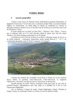 Referat - Obiectivele turistice ale zonei Turnu Roșu din județul Sibiu