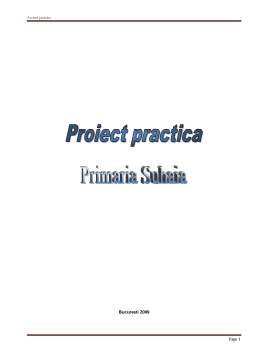 Proiect - Proiect practică - prezentarea Consiliului Local Suhaia și a Primăriei Comunei Suhaia
