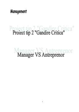 Proiect - Manager vs Antreprenor