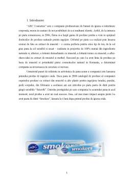 Proiect - Internaționalizarea firmei Smokers