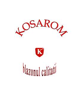 Proiect - Management - Kosarom