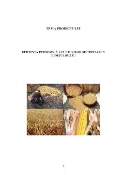 Proiect - Eficiența Economică a Culturilor de Cereale