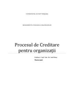 Referat - Procesul de Creditare pentru Organizații