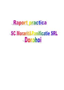 Proiect - Raport de practică management - SC Morărit și Panificație SRL
