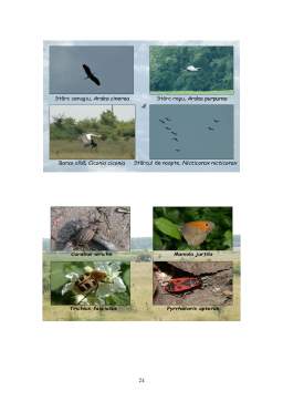 Proiect - Metode pentru Conservarea Biodiversității