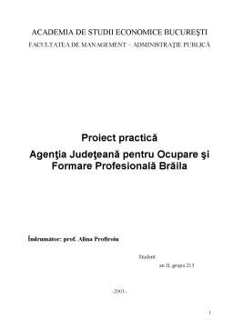 Proiect - Proiect practică - Agenția Județeana pentru Ocupare și Formare Profesională Brăila