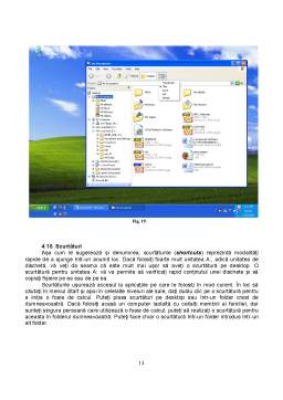 Proiect - Interfața grafică la Windows XP