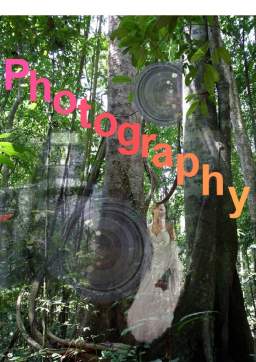 Proiect - Photography