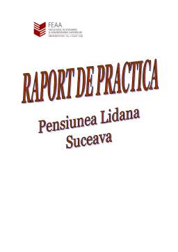 Proiect - Raport practică - Pensiunea Lidana Suceava