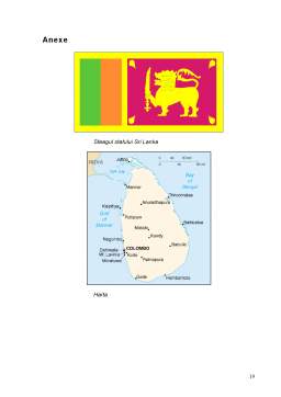 Proiect - Management internațional - Sri Lanka - raport de țară