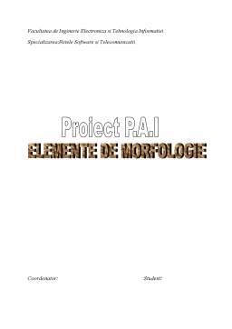 Proiect - Elemente de Morfologie
