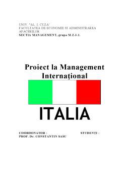Proiect - Management internațional - Italia