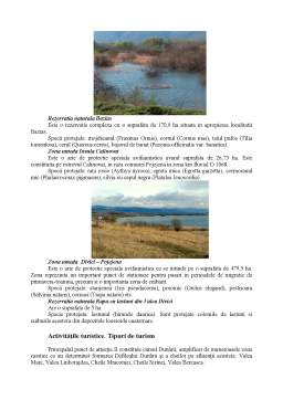 Proiect - Dezvoltarea regiunii Clisura Dunării