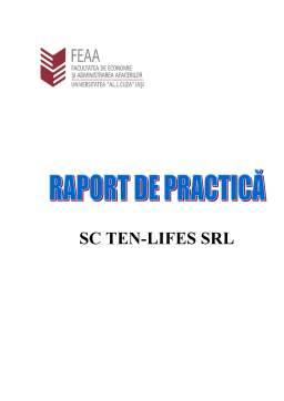 Proiect - Raport de practică SC Ten-Lifes SRL