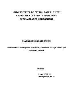 Proiect - Diagnostic și strategii - fundamentarea strategiei de dezvoltare a Raiffeisen Bank (România) SA - sucursala Ploiești
