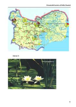 Referat - Potențialul Turistic al Deltei Dunării