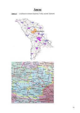 Proiect - Analiză-diagostic social-economică a localității Sărătenii vechi în vederea includerii acesteia în circuitul rural al Republicii Moldova