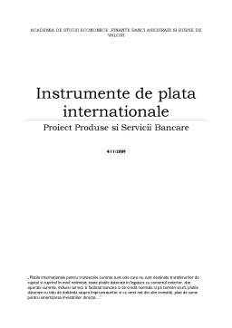 Referat - Instrumente de plată internaționale
