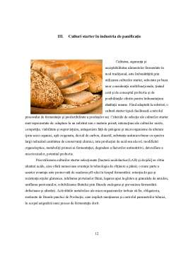 Proiect - Microbiologie industrială - microbiologia pâinii