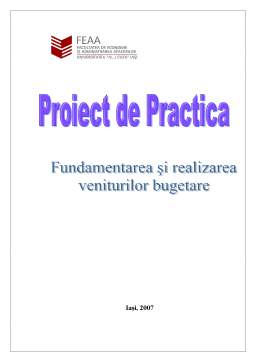 Proiect - Proiect de practică - SC Iasitex Iași