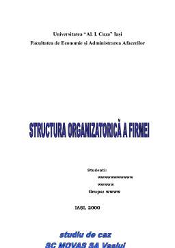 Referat - Structura Organizatorică a Firmei