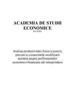 Proiect - Analiza productivității fizice a muncii, precum și consecințele modificării acesteia asupra performanțelor economico-financiare ale întreprinderii