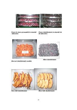 Proiect - Cartea tehnică a unui uscător de fructe