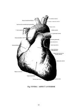 Proiect - Îngrijirea Bolnavilor cu Afecțiuni Cardiovasculare - Hipertensiune Arterială