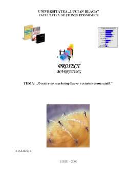 Proiect - Practică de marketing într-o societate comercială - SC Docuprint