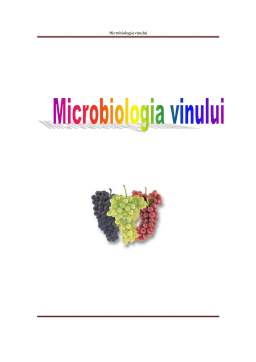 Referat - Microbiologia Vinului