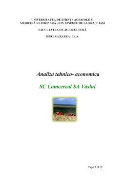 Proiect - Analiza tehnico-economică SC Comcereal SA