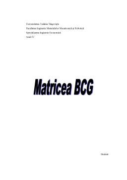 Referat - Matricea BCG