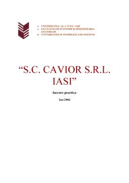 Proiect - Sc Cavior SRL Iași - lucrare practică
