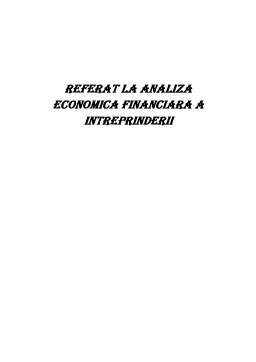 Referat - Analiza financiar-economică a întreprinderii SC Construcții Rutiere SA