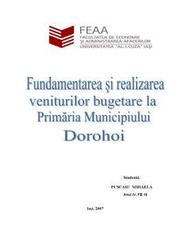Proiect - Fundamentarea veniturilor la Primăria Dorohoi